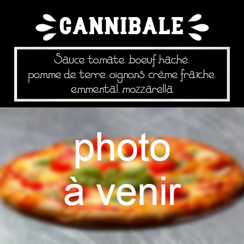 moulin-a-pizza-bain-de-bretagne-cannibale