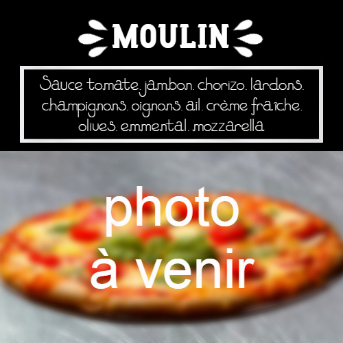 moulin-a-pizza-bain-de-bretagne-moulin