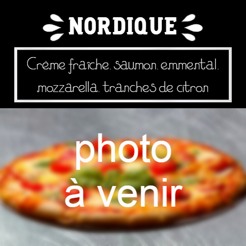 moulin-a-pizza-bain-de-bretagne-nordique
