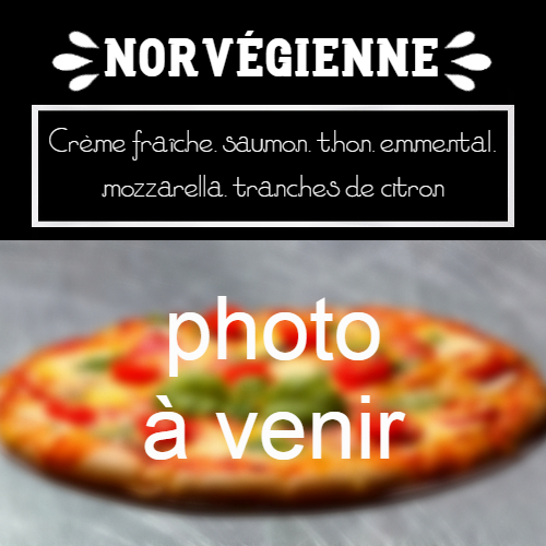 moulin-a-pizza-bain-de-bretagne-norvegienne