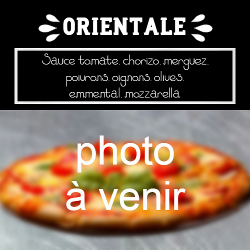 moulin-a-pizza-bain-de-bretagne-orientale