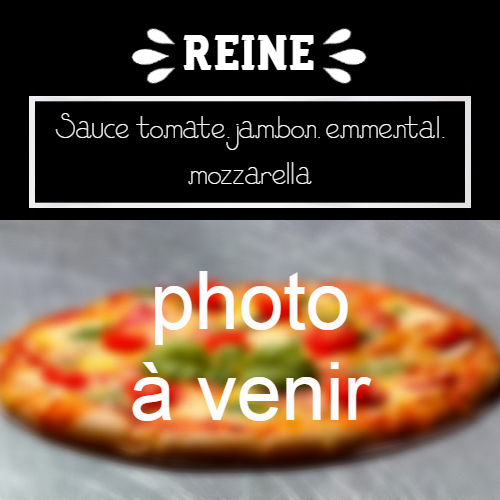 moulin-a-pizza-bain-de-bretagne-reine