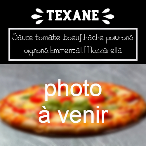 moulin-a-pizza-bain-de-bretagne-texane