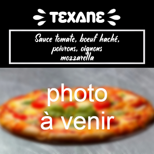 a-moulin-a-pizza-bain-de-bretagne-texane