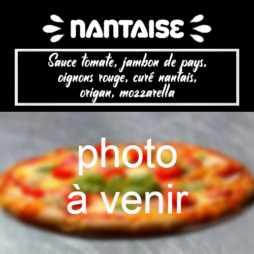 moulin-a-pizza-bain-de-bretagne-nantaise-02